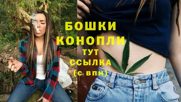 ПСИЛОЦИБИНОВЫЕ ГРИБЫ Балабаново