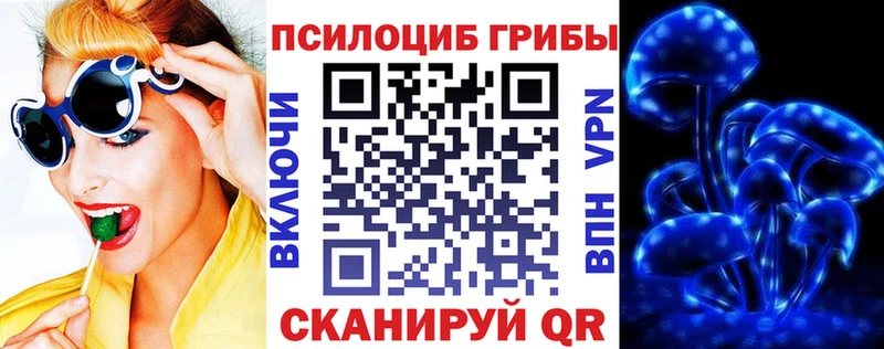 Купить  Новоалександровск  Псилоцибиновые грибы GOLDEN TEACHER 